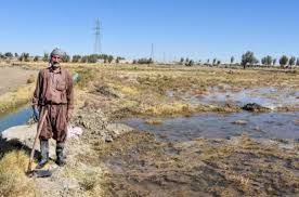 ‍ ‍ برای کشت پاییزه ١١٠ میلیون مترمکعب آب تحویل کشاورزان سیستانی شد
