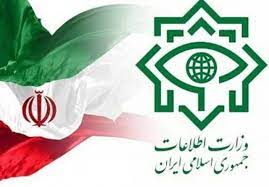 وزارت اطلاعات در امنیت و توسعه پایدار همکاری بی شائبه ای با دستگاههای اجرایی دارد