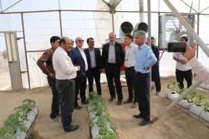 ظرفیت‌های پژوهشگاه زابل، طرح‌های مقابله با بیابان‌زایی را تسریع می‌کند